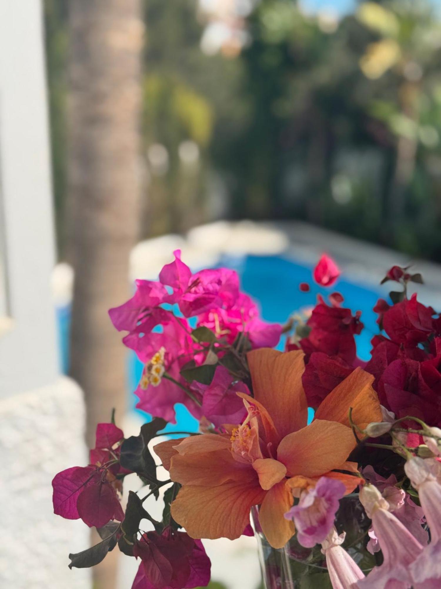 Villa Nerja Exteriör bild